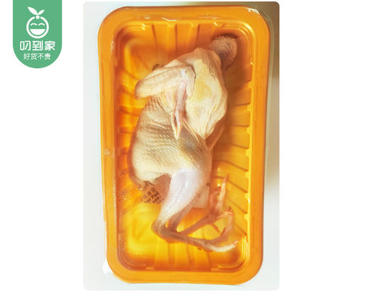 漳州高山饲养中鹧鸪（杀好）/1只（280-320g）生产日期：12月28日左右 商品图4