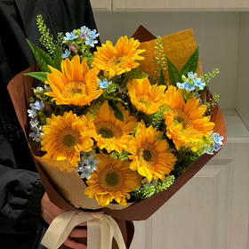 【向阳而生】绿心小花向日葵8支+蓝星花5枝+绿林草5支（不含包装）