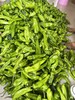 周三取货：【精品薄皮青椒】一袋500克左右，椒味浓郁，脆嫩可口！ 商品缩略图4