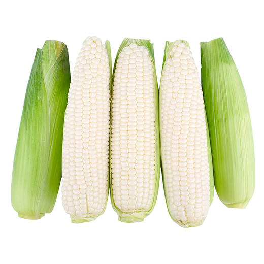 【香甜粘糯！花糯玉米/黑糯玉米/白糯玉米】新鲜采摘，熟制真空包装，让您吃到新鲜玉米香好玉米，源于好产地，吃一口就忘不了的香甜，现摘带皮甜糯苞谷嫩玉米L 商品图4