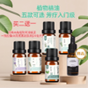 菜头商城植物精油芳疗入门级（5款可选）任购二瓶即赠一瓶无香润肤油（20毫升） 商品缩略图0