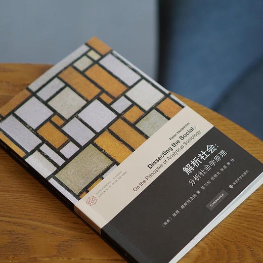 解析社会：分析社会学原理 商品图2