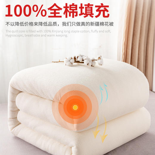 新疆老棉花被」甄选好棉 新彊一级长绒棉 蓬松柔软 保暖性强 透气性好 商品图5