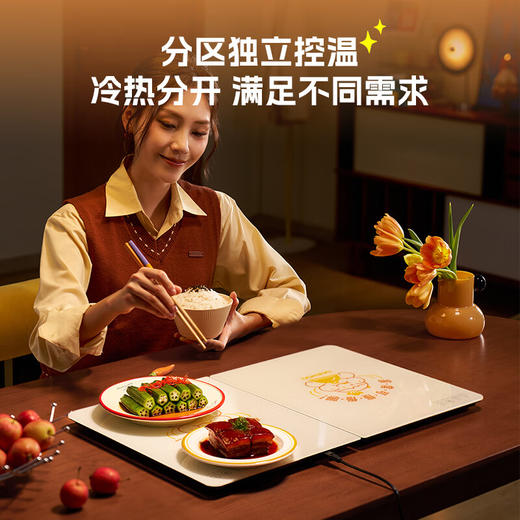 大宇（DAEWOO）暖菜板 饭菜保温板热菜板 加热桌垫菜板 电热折叠热饭热菜神器家用加热多功能定时 WB09 商品图2