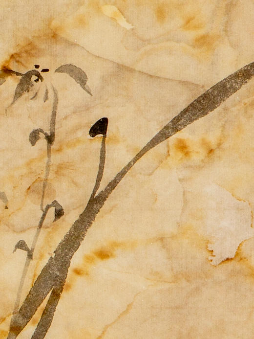 蒙晓羽花鸟《墨兰图》38*23㎝ 商品图2