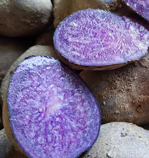 黄皮黄心土豆、红皮白心土豆 、紫皮紫心土豆，沙香糯面，通过571农残检测！ 源头蔬 商品图2