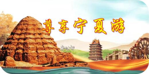 宁夏游 商品图0