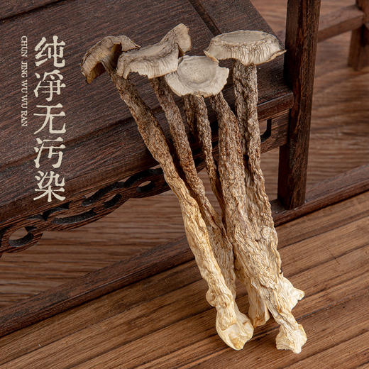 【源自深山！云南鹿茸菇】坚持手工挑选，源头到餐桌，每一步都经过严格把控，鹿茸菌云南非野生菌菇，煲汤蘑菇菌汤L 商品图1