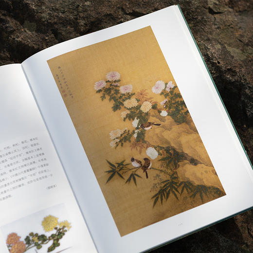 古典的回响 溪客旧庐藏明清文人绘画 商品图1