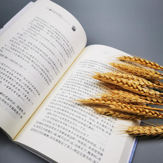 【青葫芦】曹文轩纯美小说系列：狗牙雨 商品图2