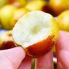 【新鲜甜脆！山东沾化冬枣】果园直达新鲜到家，天然环境生长，棵棵硕果光泽诱人，枣香口感脆甜，一口嘎嘣脆，新鲜应季脆枣，孕妇水果非酸枣子大荔冬枣L 商品缩略图2