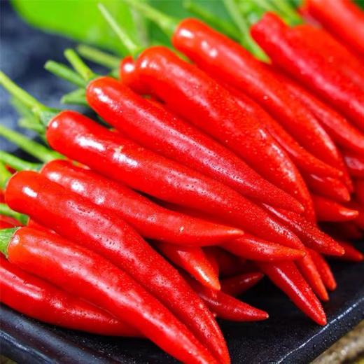 【香辣可口！现摘小米辣椒】炒菜下饭好好吃，椒辣十足，下饭炒菜，调味配菜好好吃 ，特辣小米椒，朝天椒鲜椒红辣椒，指天椒泡椒红辣椒产地直发L 商品图1