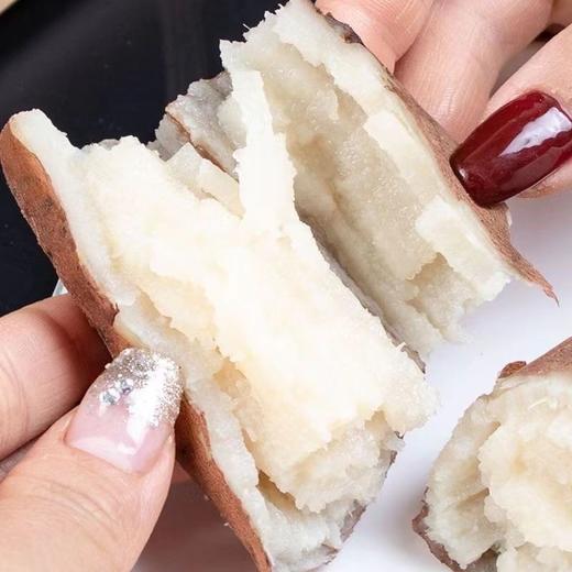 【香甜软糯！山东白哈密薯】用心种植的哈蜜薯，原产地新鲜现挖，外皮薄如蝉翼，皮薄易撕，恰到好处的香甜，新鲜红薯番地瓜，白糖心蜜薯L 商品图2