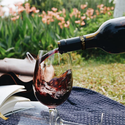 杰卡斯红酒 新西兰进口 杰卡斯珍藏系列西拉干红葡萄酒750ml 商品图4