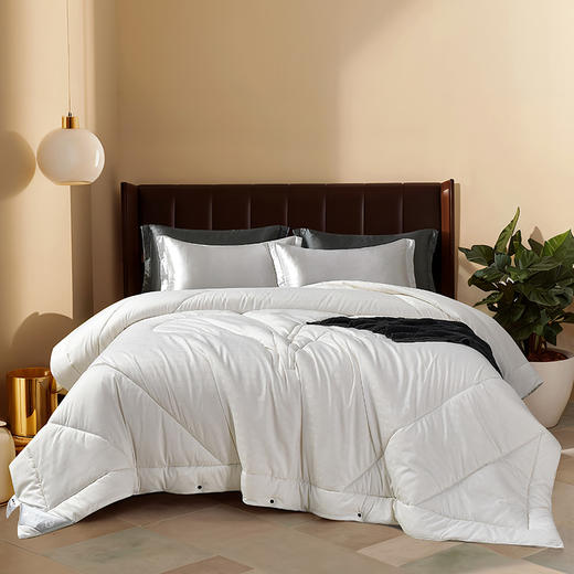 雅芳婷澳洲进口羊毛被纯羊毛冬被加厚保暖冬季羊毛被被芯被子冬被 商品图5