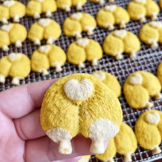 【爆款果蔬肉饼】奇趣多多手工自制宠物饼干多口味多种造型 商品图2