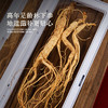 【源头自长白山脉！长白雪山林下参】每一根都是精挑细选，拒绝残参，高年足龄林下参，地道滋补更贴心，干人参礼盒装整枝泡酒L 商品缩略图3