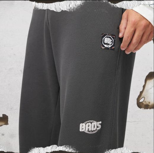 李宁反伍BADFIVE男子束脚宽松卫裤AKLU203 商品图1