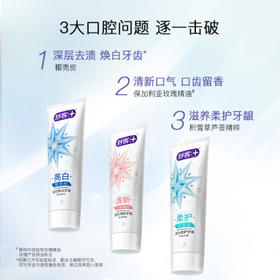 舒客氨基酸流光牙膏美白牙齿去黄去渍自营 120g竹炭薄荷新旧随机发