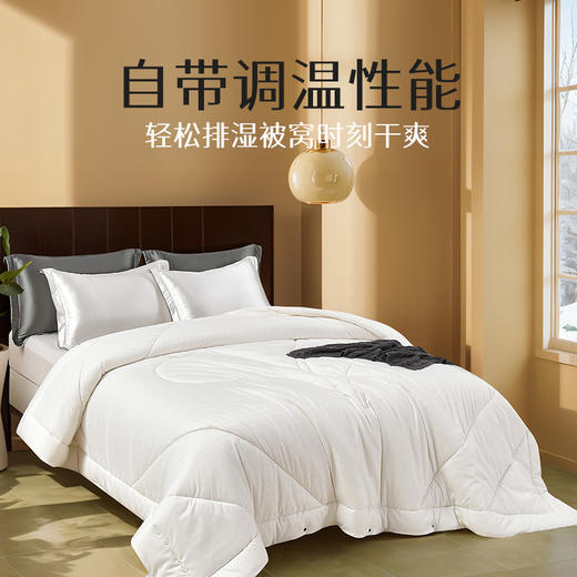 雅芳婷澳洲进口羊毛被纯羊毛冬被加厚保暖冬季羊毛被被芯被子冬被 商品图2