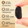 高原桑葚干/2罐（160g/罐） 商品缩略图6