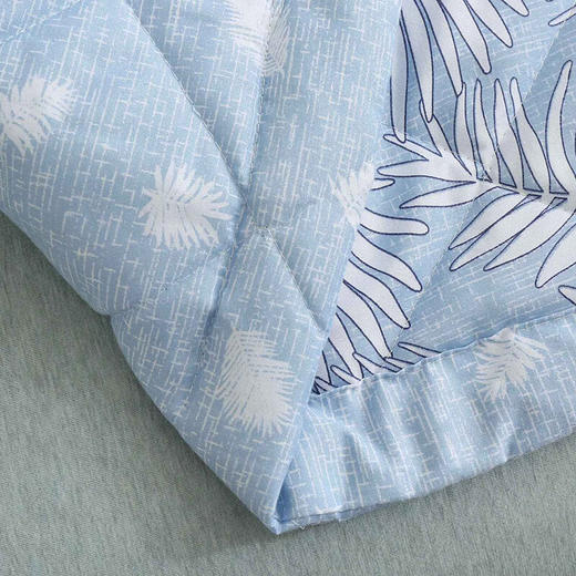 天琴健康爽肤被TQ-B02 商品图4