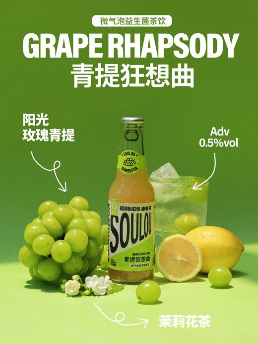 独奏茶/青提狂想曲 商品图0