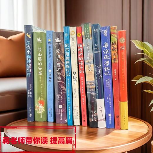 特级教师蒋老师带你读童书提高篇 洞小王子草房子城南旧事绿山墙的安妮(以富有哲理性的中外小说，提升孩子的思辨能力) 商品图0