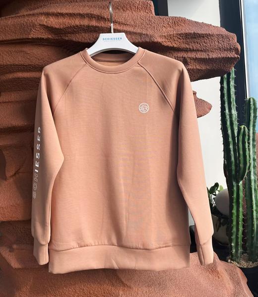 【太空棉外穿】SCHIESSER德国舒雅空气层圆领男士外穿卫衣39/23816U（可点击详情页最下方链接选择配套裤子) 商品图3