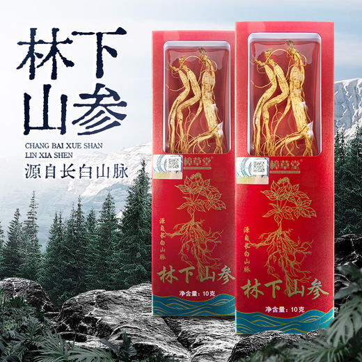 【源头自长白山脉！长白雪山林下参】每一根都是精挑细选，拒绝残参，高年足龄林下参，地道滋补更贴心，干人参礼盒装整枝泡酒L 商品图0