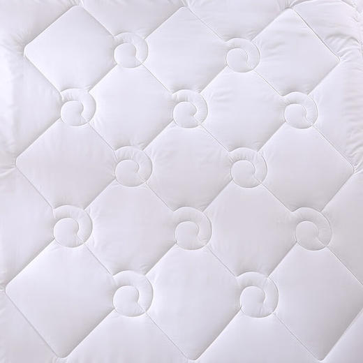 罗莱VQW2020-2贵族羊毛被II代 商品图1