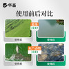 华畜蓝藻分解酶溶解蓝藻水产养殖生物分解溶氧低鱼虾蟹鱼塘除蓝藻 商品缩略图3