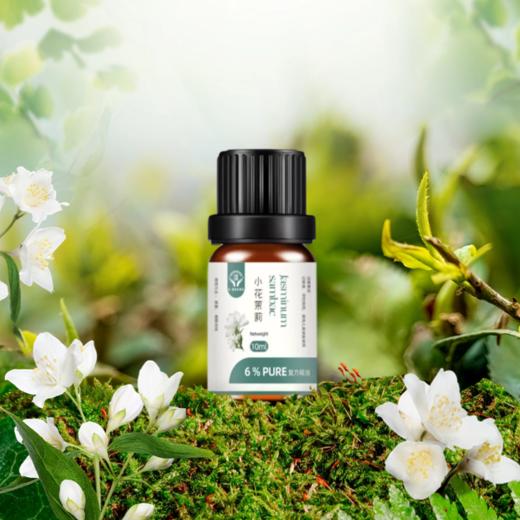 菜头商城植物精油芳疗入门级（5款可选）任购二瓶即赠一瓶无香润肤油（20毫升） 商品图4