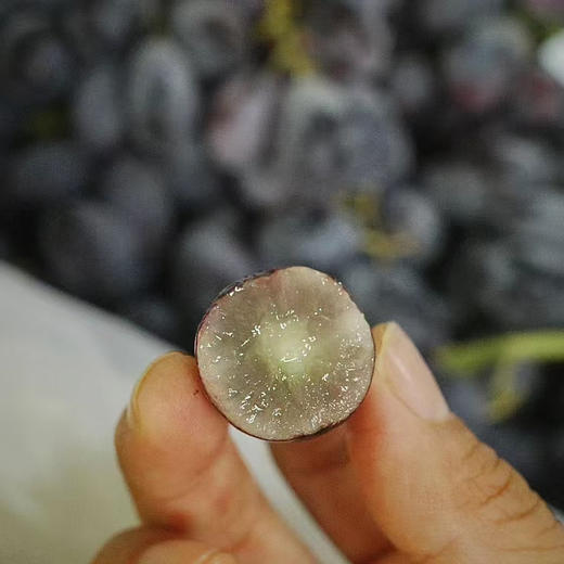 澳洲黑玛瑙提子，店铺这么多进口提子品类，松脆甜它当属第一！ 商品图1