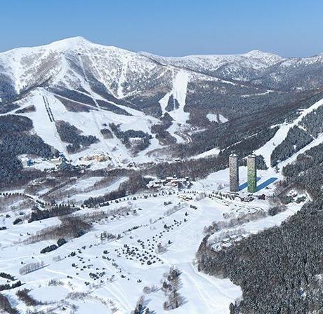 【北海道滑雪课程】热门雪场|留寿都|星野|富良野|手稻|朝里川|教练私人课程(中文教学)可升级进阶教练 商品图2