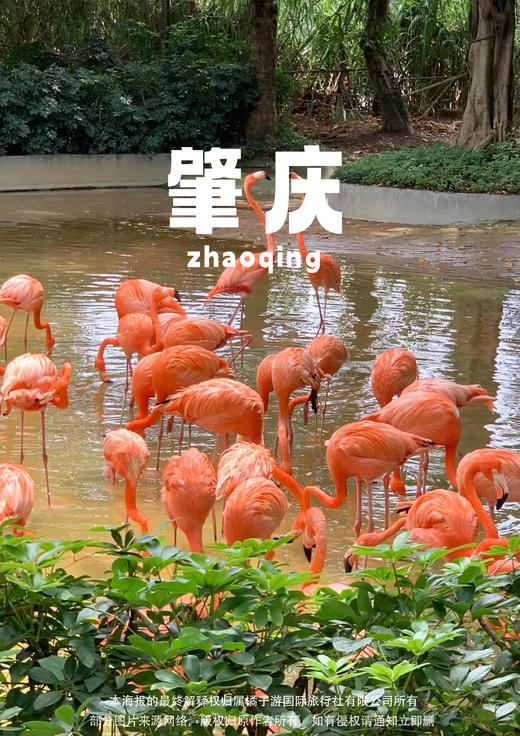 【避暑初秋之旅】 肇庆黄金沟&星湖湿地公园纯玩2天 商品图0