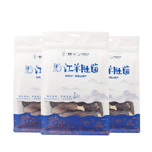 农掌柜黔江羊肚菌48g/袋 商品图3