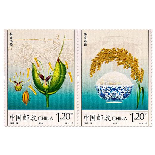 《杂交水稻》特种邮票 2013-29 商品图0