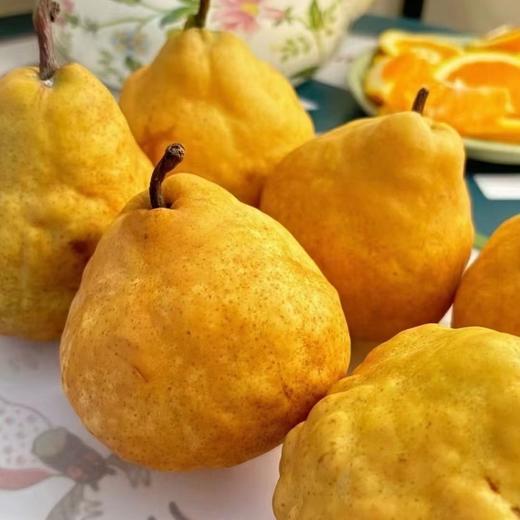 【舌尖上的甜蜜！山东中华丑梨】丑与美味的碰撞，存留舌尖的甜蜜，软糯多汁，山东品质丑梨，精挑细选，用心倾注好味道，新鲜水果软梨啤梨L 商品图1