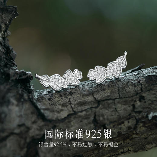 【明星同款】【橡树恋人耳钉】Fanci范琦 致橡树系列 下单即赠精美包装+顺丰包邮+运费险 商品图2