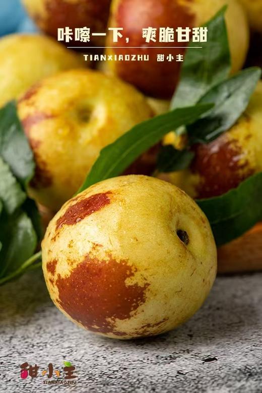 【山东地标】沾化冬枣 尝鲜 新品上市 商品图2