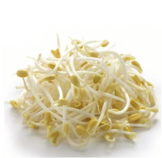 【亚欧超市】黄豆芽300g±50g 商品图0