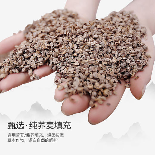 恒源祥SLZX17全荞麦枕（可脱卸）白色 商品图2