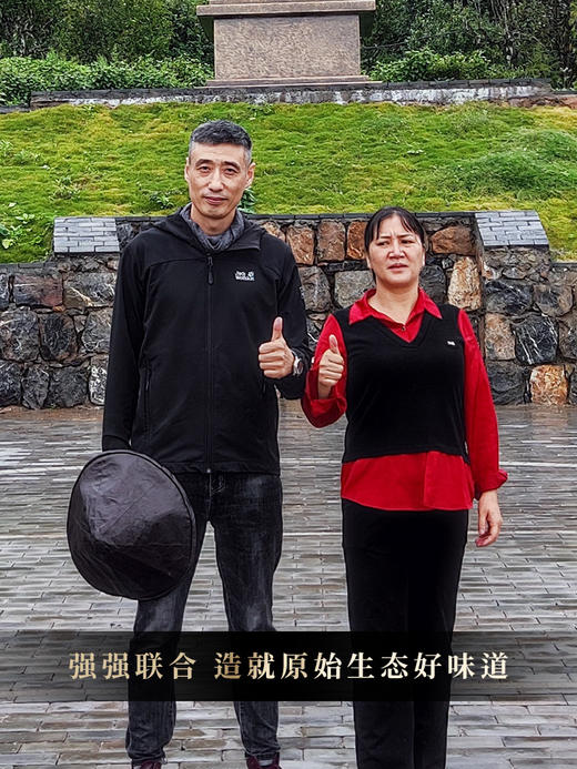 生普头牌【凤饼贡茶困鹿山】2023年春茶选自困鹿山26号茶农李应芝家古茶园，如果生普只能喝一款那必须是“困鹿山”普洱茶生茶 非遗工艺 357克/饼 5饼/提 2提/件 商品图8