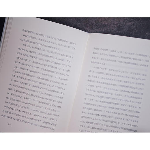 【特价】当我们不再理解世界（智利）本哈明·拉巴图特 著 商品图4