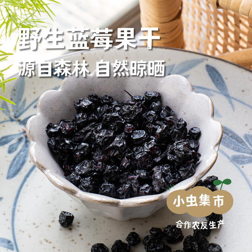 野生蓝莓果干 90g/袋 | 合作农友生产，源自大兴安岭原始森林，生产者：金鹏 ＆【公平贸易农人定价】 商品图0