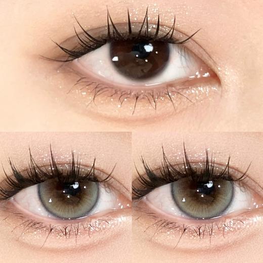 Ocean girl半年抛--无花果 商品图7