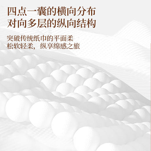 【秒杀❗️9.9抢3提🔥悬挂纸巾】下单3提起，送挂钩，粉丝福利拉满！原生木浆，更放心！20提抽纸实惠装卫生纸餐巾纸擦手纸面巾纸挂式厨房专属直播引流品 商品图1