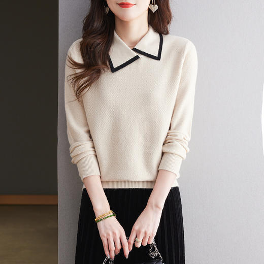 CC-101-2037秋季女装设计感上衣2024新款设计感翻领针织衫套头秋冬毛衣打底衫 商品图1