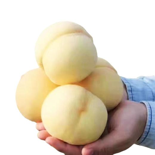 【脆甜爽口！蒙阴大白桃】果园新鲜直供，精挑细选个头饱满，颗颗精品，肉质细腻爽滑，Q弹爽多汁，清凉爽滑当季，整箱包邮新鲜水果毛桃L 商品图3
